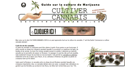 Desktop Screenshot of cultivercannabis.com