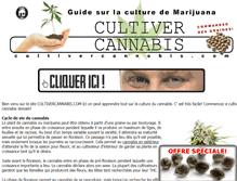 Tablet Screenshot of cultivercannabis.com